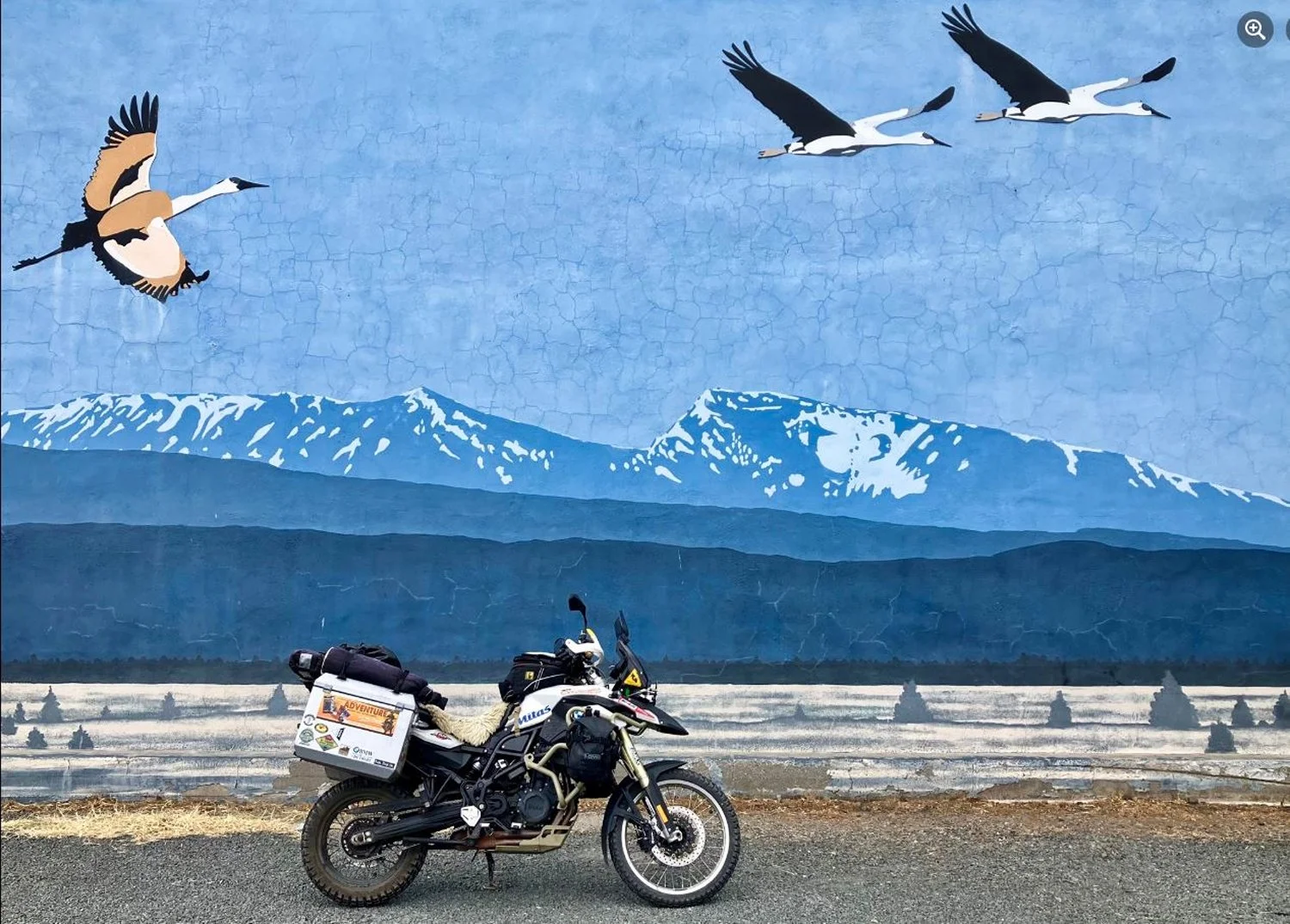  Image: Sam Manicom - Head south for the winter. 
