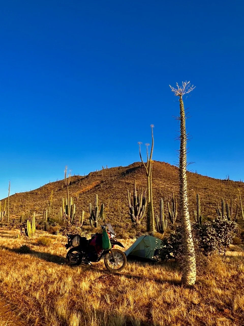 Ante-Dodig-Adventure-Rider-Radio-Motorcycle-Podcast-17.jpeg