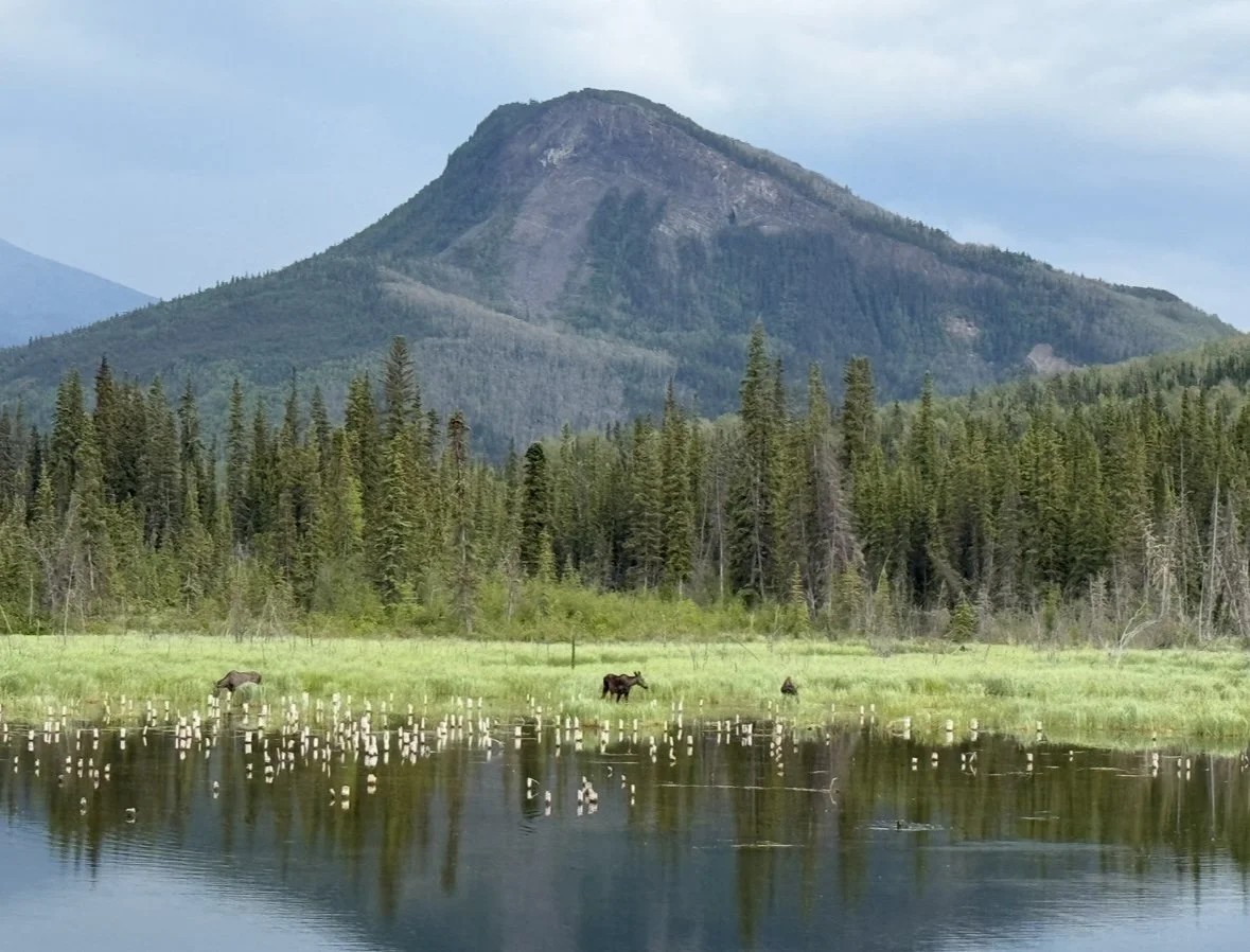 Corey-Speck-Dalton-Alaska-Adventure-Rider-Radio-Motorcycle-Podcast-19.jpeg