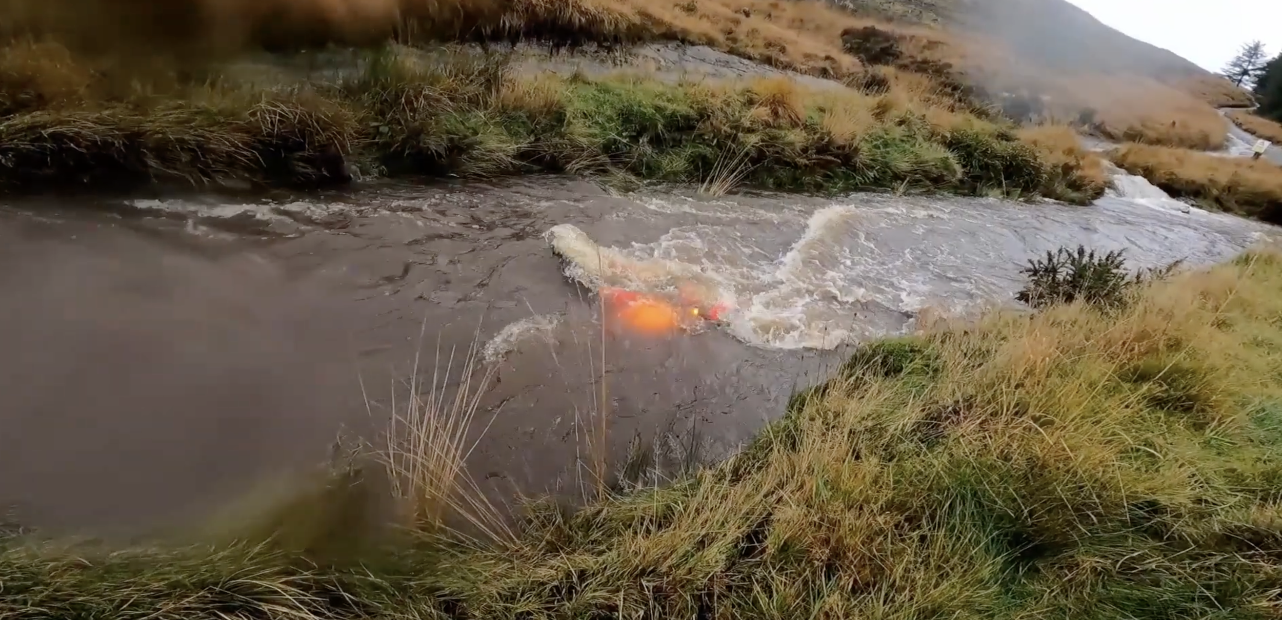  Photo: Matt Chalmers 