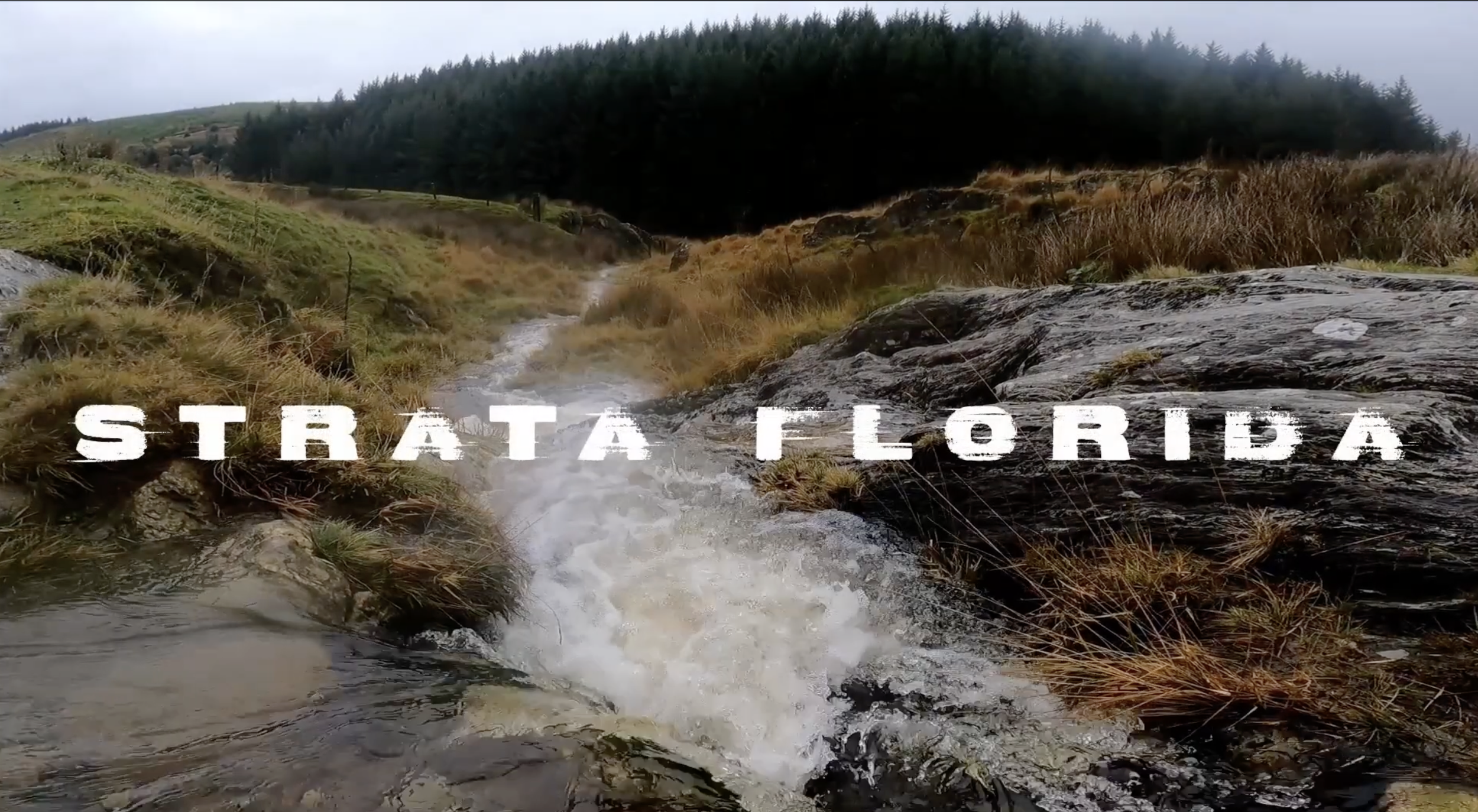  Photo: Matt Chalmers 