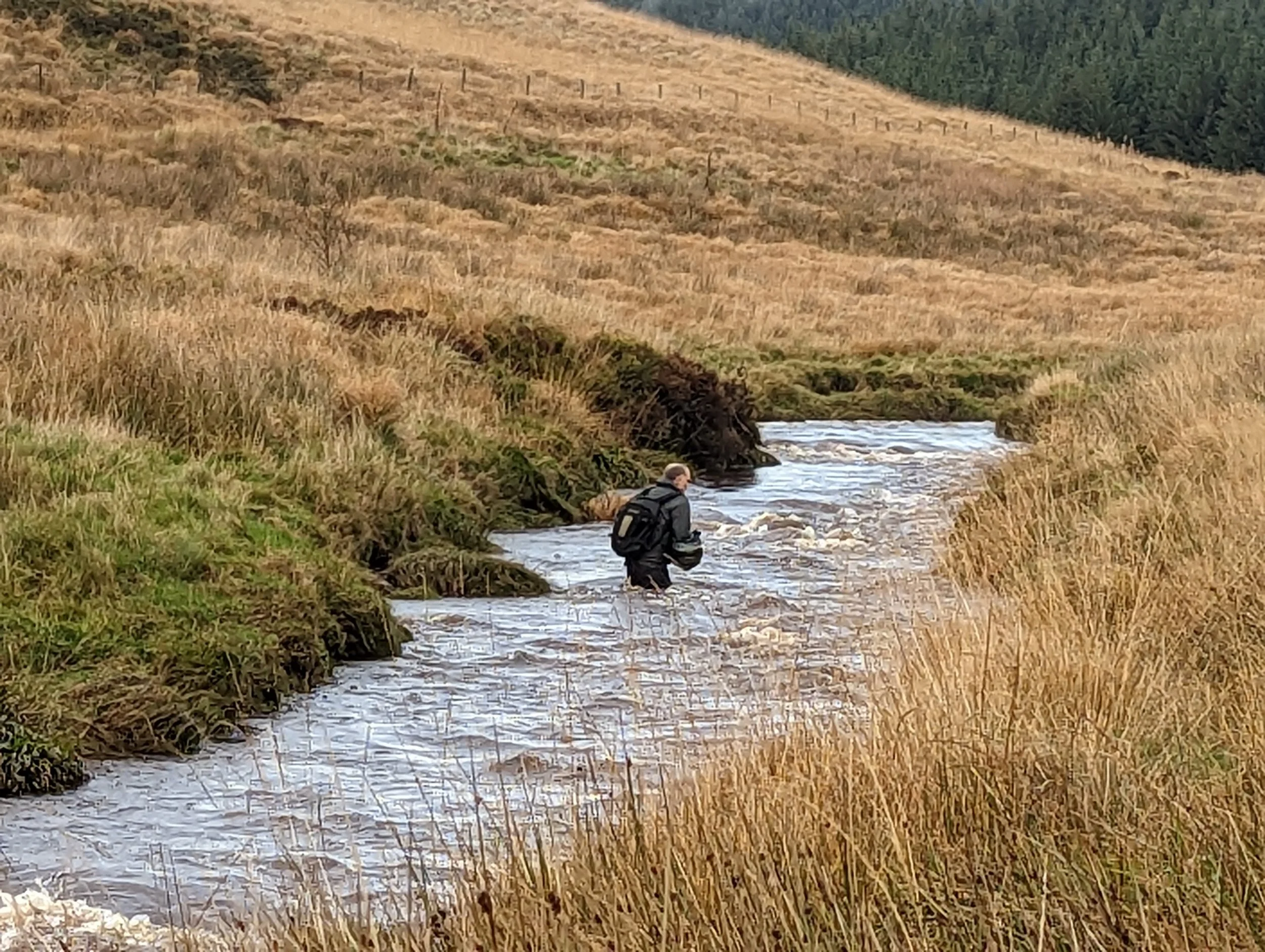  Photo: Peter Beedell 