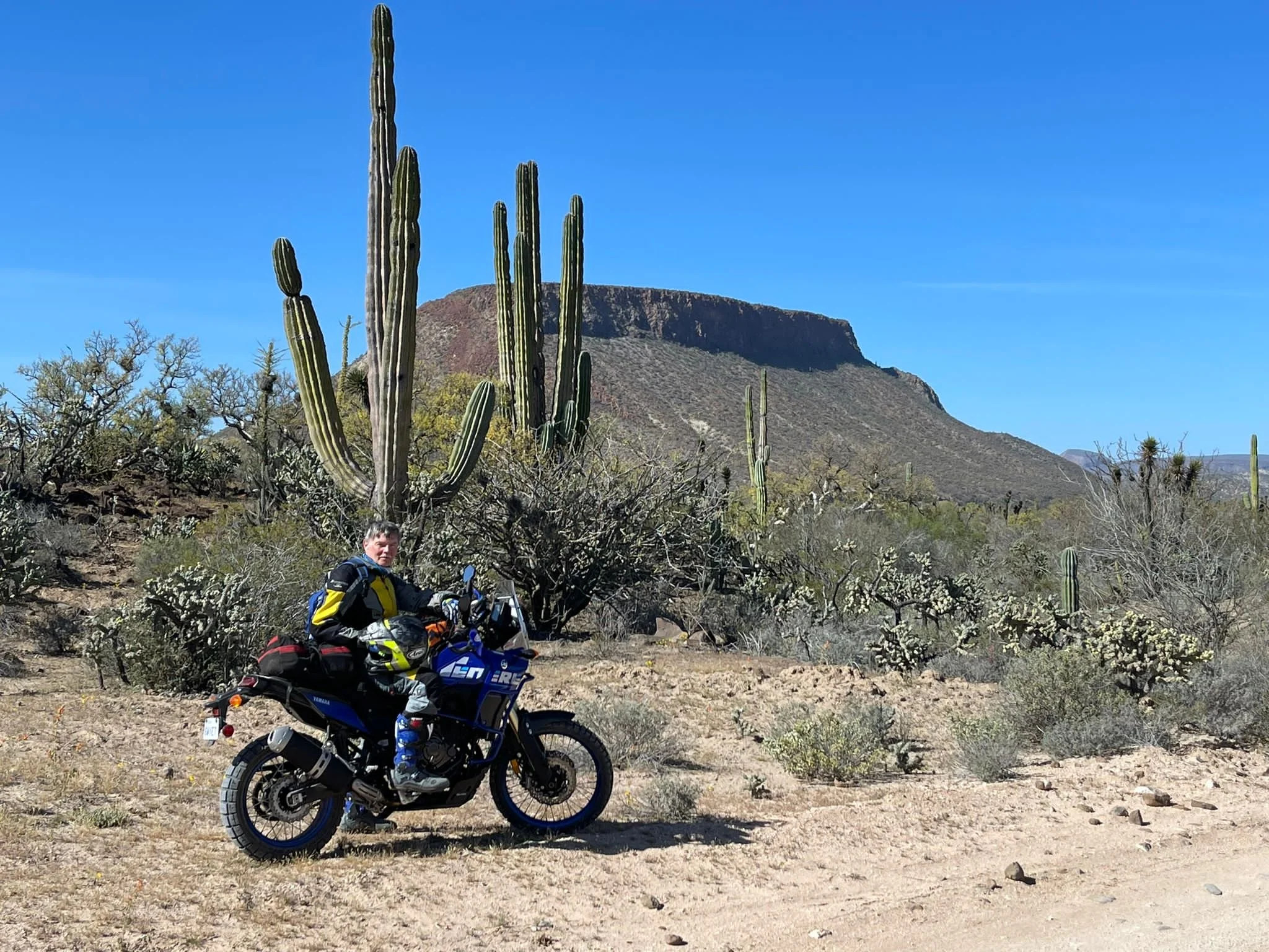  Photos: Clinton Smout  