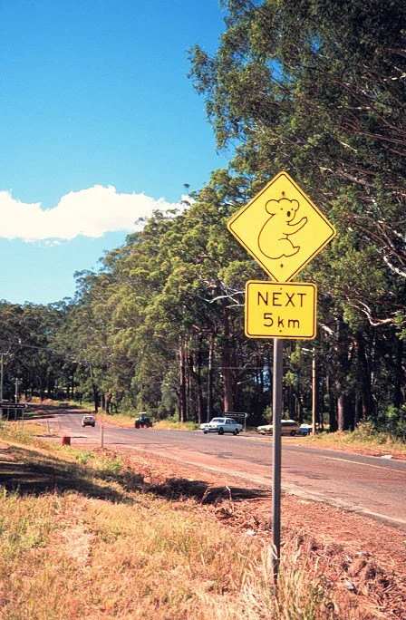 0181307-Koala-Next-5Km-Sign.jpg
