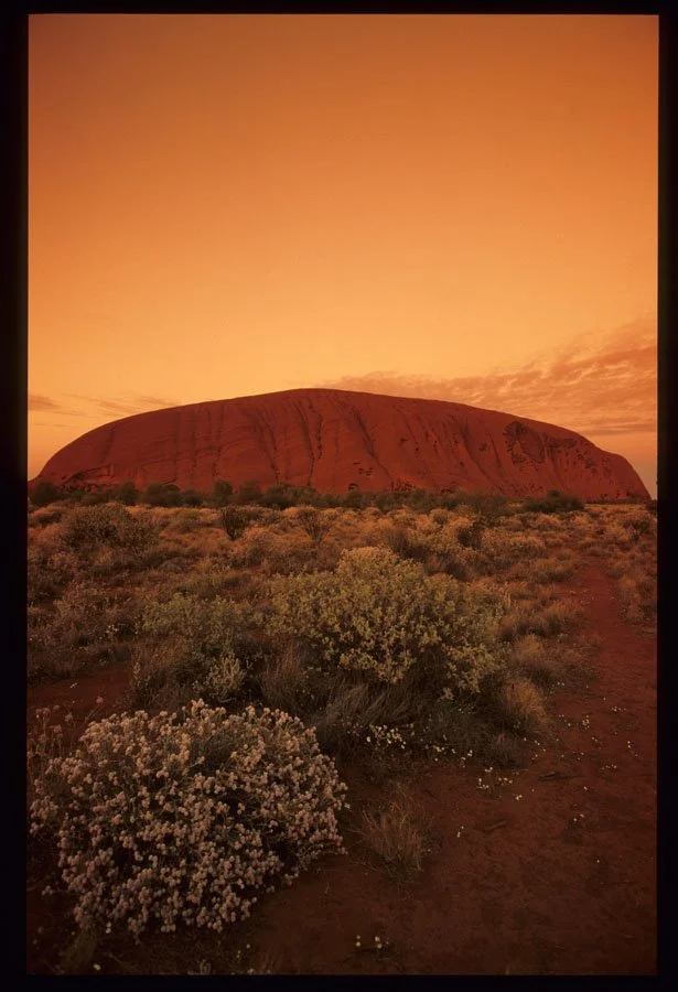 0184214-Uluru---Ayers-Rock-sunrise-portrait.jpg