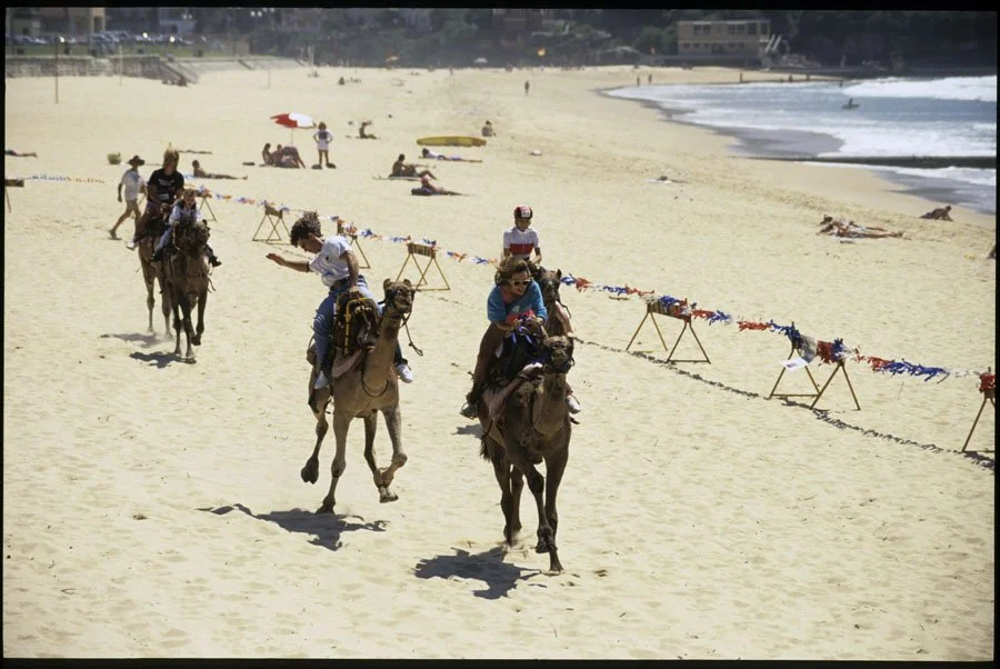 0196306-Closet-Camel-Cup-on-Manly-Beach-Sydney-NSW.jpg