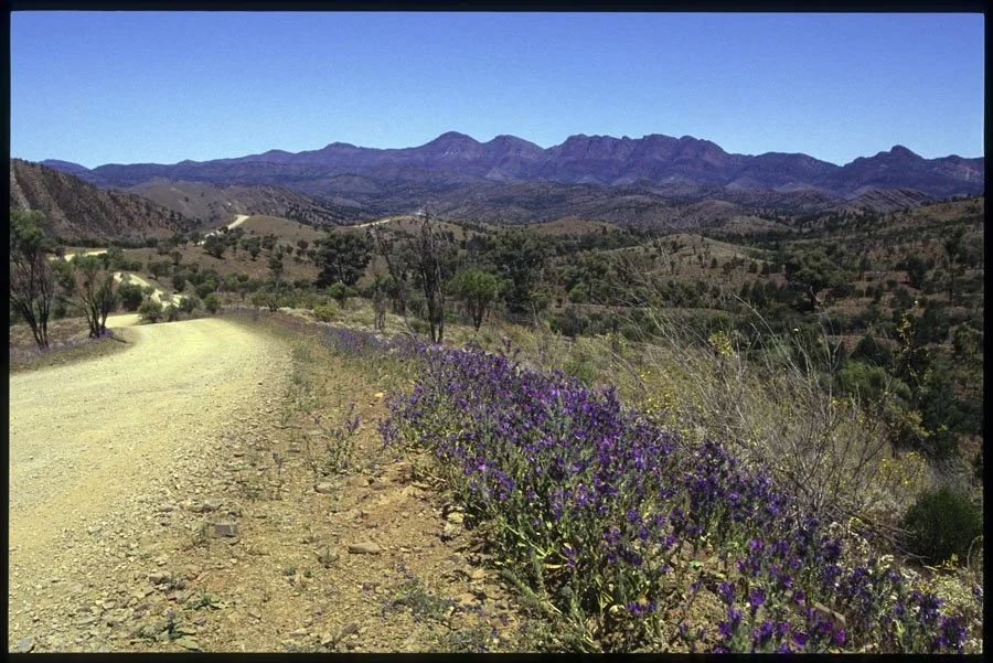 0202102-Bunyeroo-Valley-erntrance-Flinders-Ranges-SAus.jpg