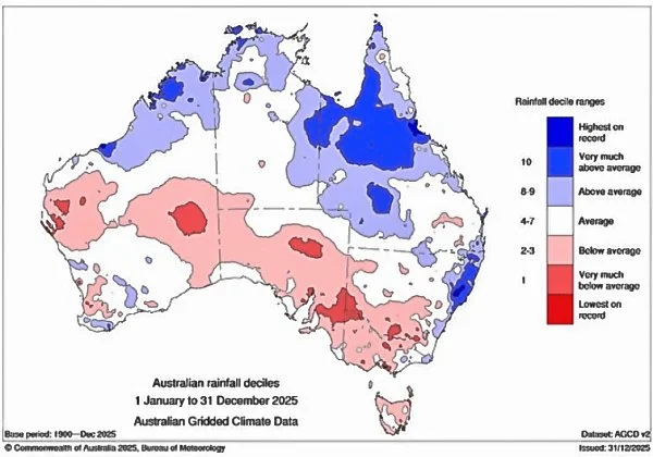 Rainfall in 2025_LN.jpg
