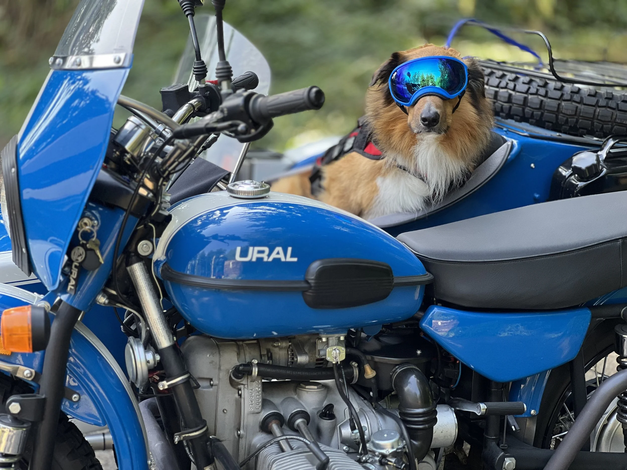  Above Photos: Roger Matthews 