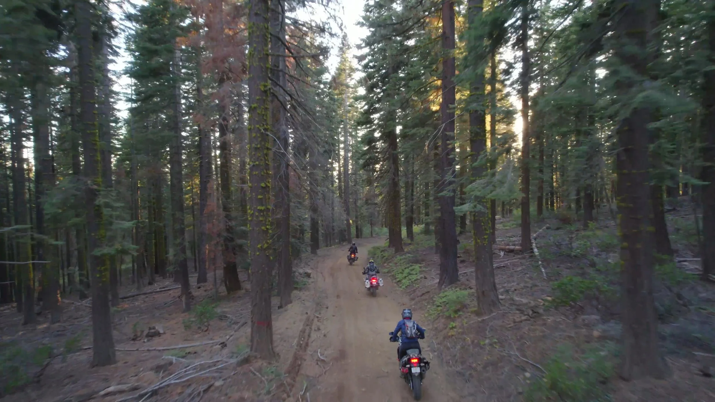  Above Photos: Sterling Noren -  Noren Films  