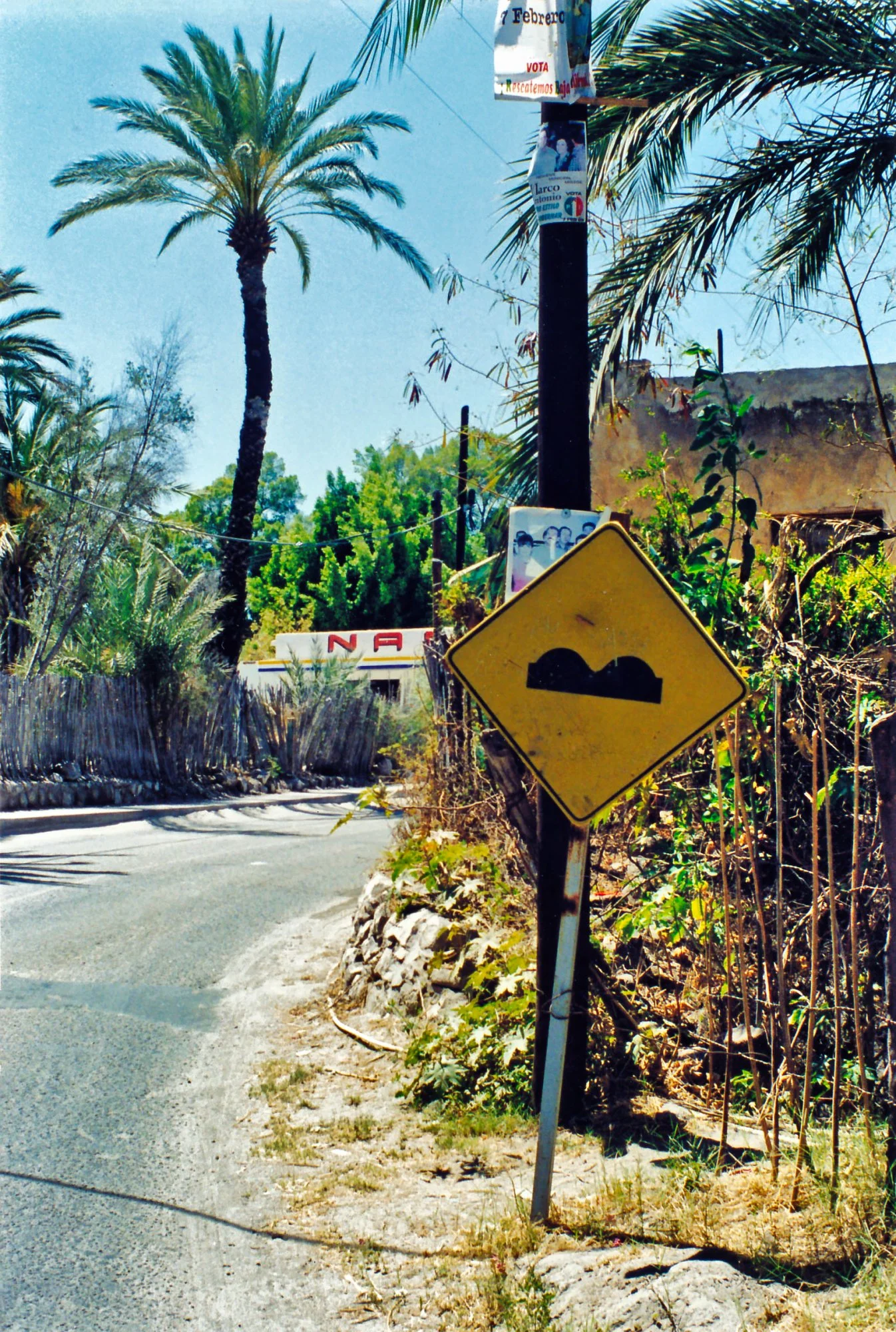 Sam Manicom - A rare tope sign. 