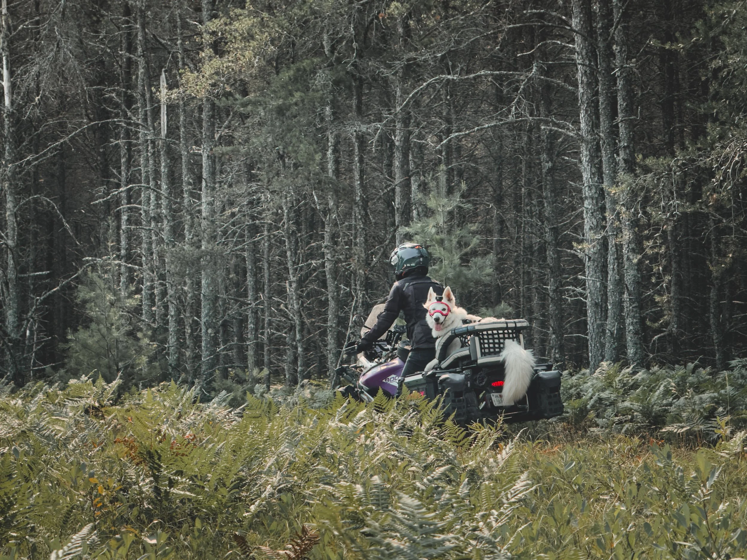 Jess-Greg-Stone-Go-Ruffly-Adventure-Rider-Radio-Motorcycle-Podcast-10.jpg