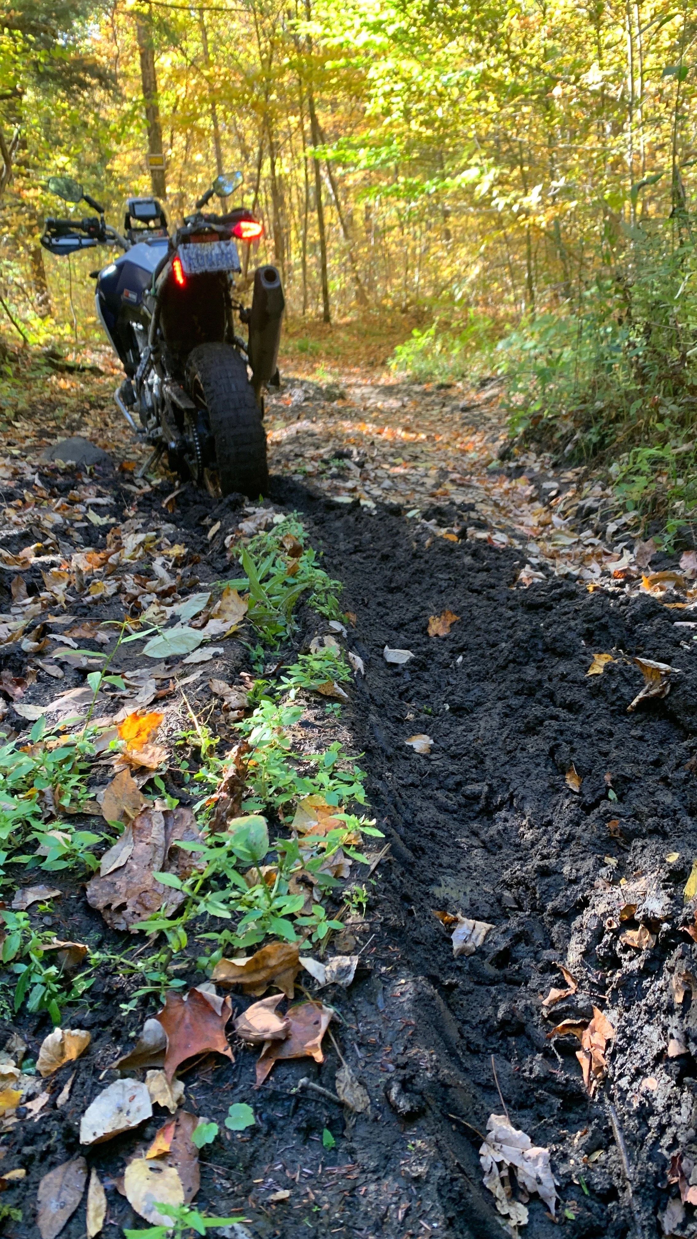 RIDER SKILLS: Riding in Mud — Staying Upright When You Can't See What's Underneath