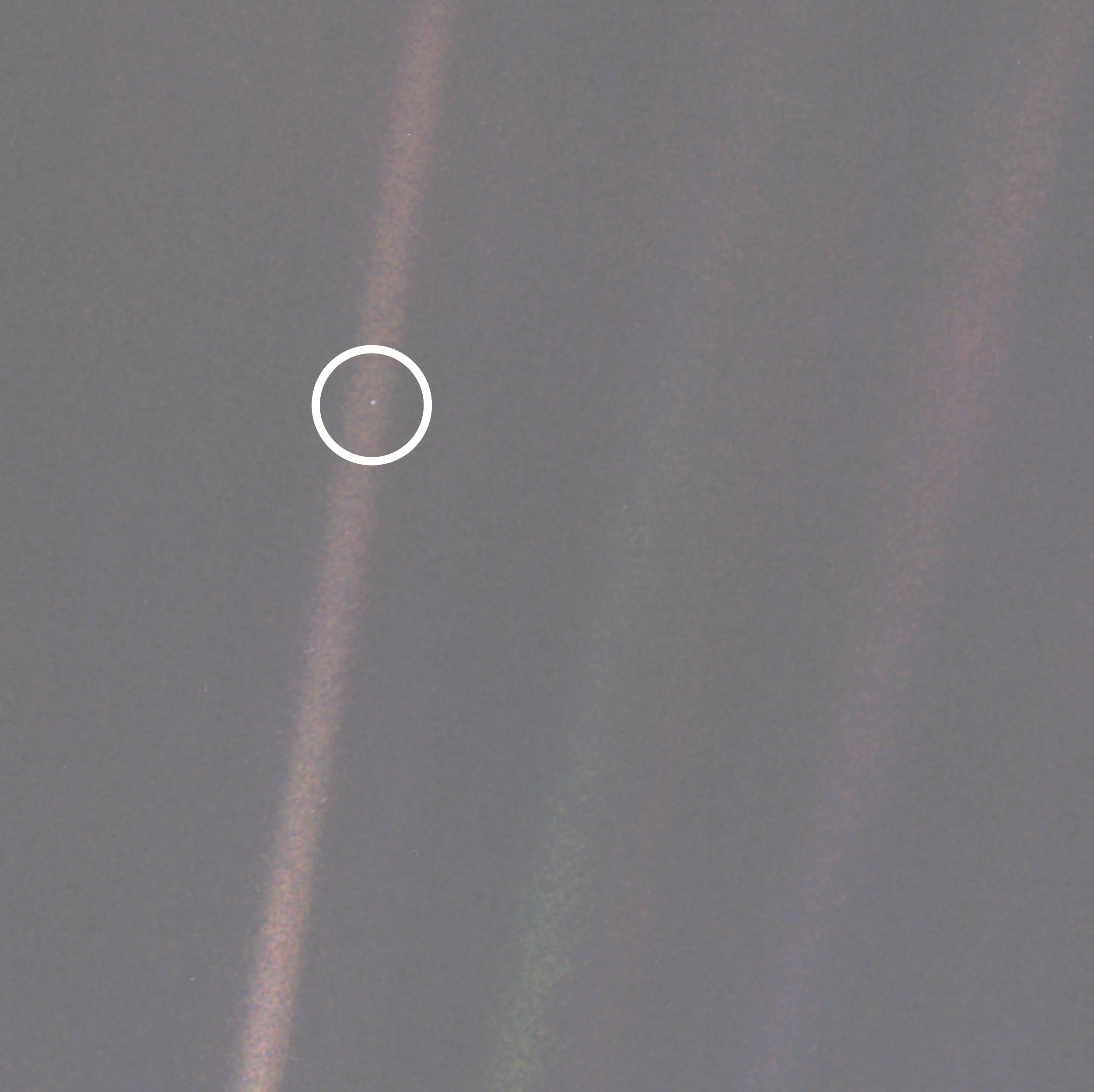 Screen Shot 2019-12-29 at 7.01.21 PM.png