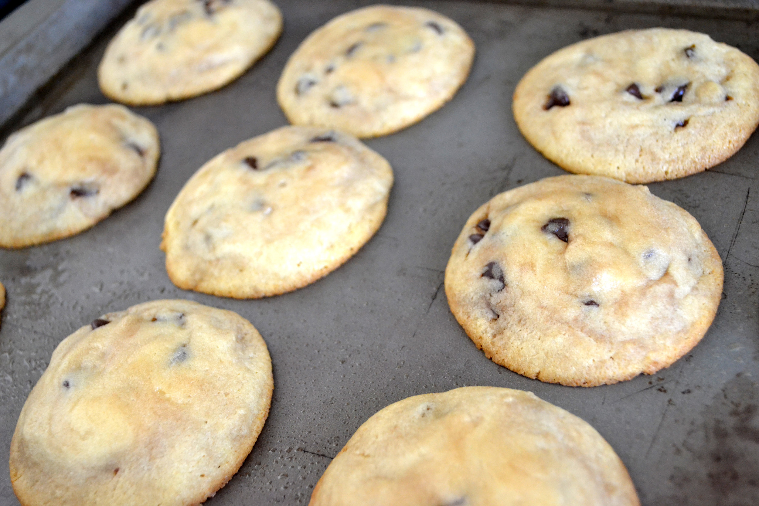 Warm and crispy cookies out of the oven.