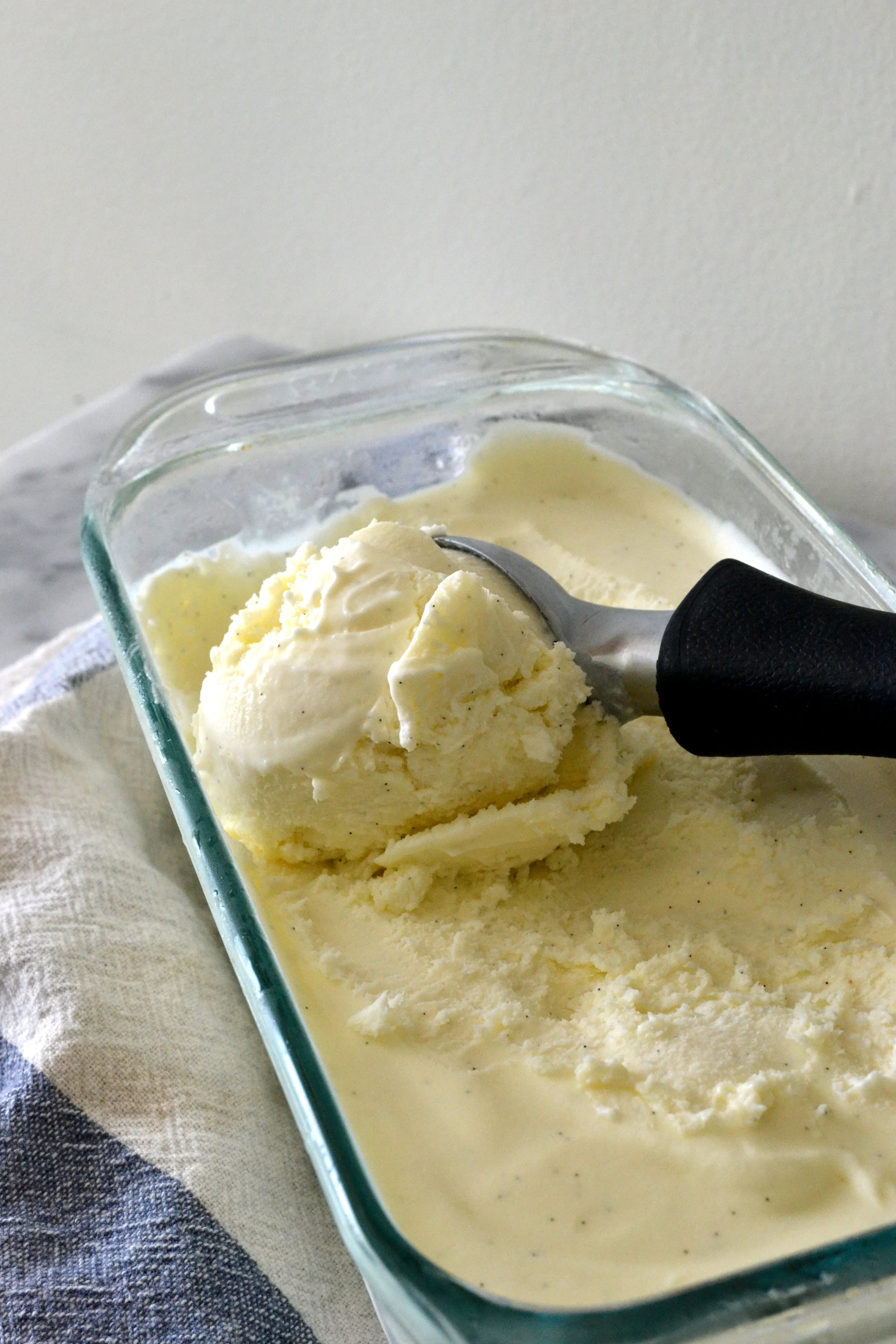 No Churn Vanilla Bean Ice Cream