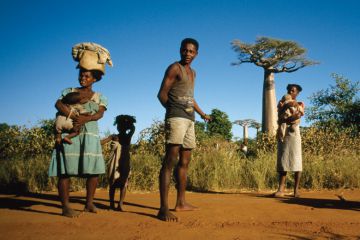 group-of-people-standing-near-baobab-trees-madagascar.jpg
