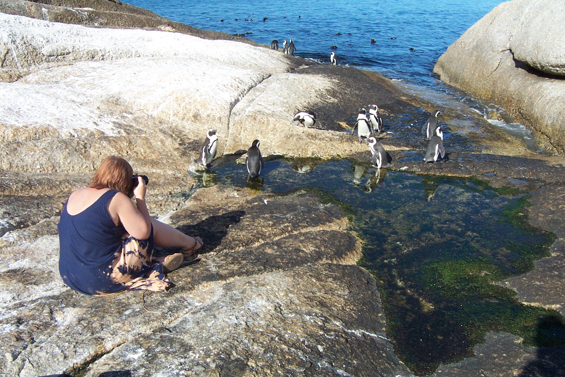 South Africa 048.jpg