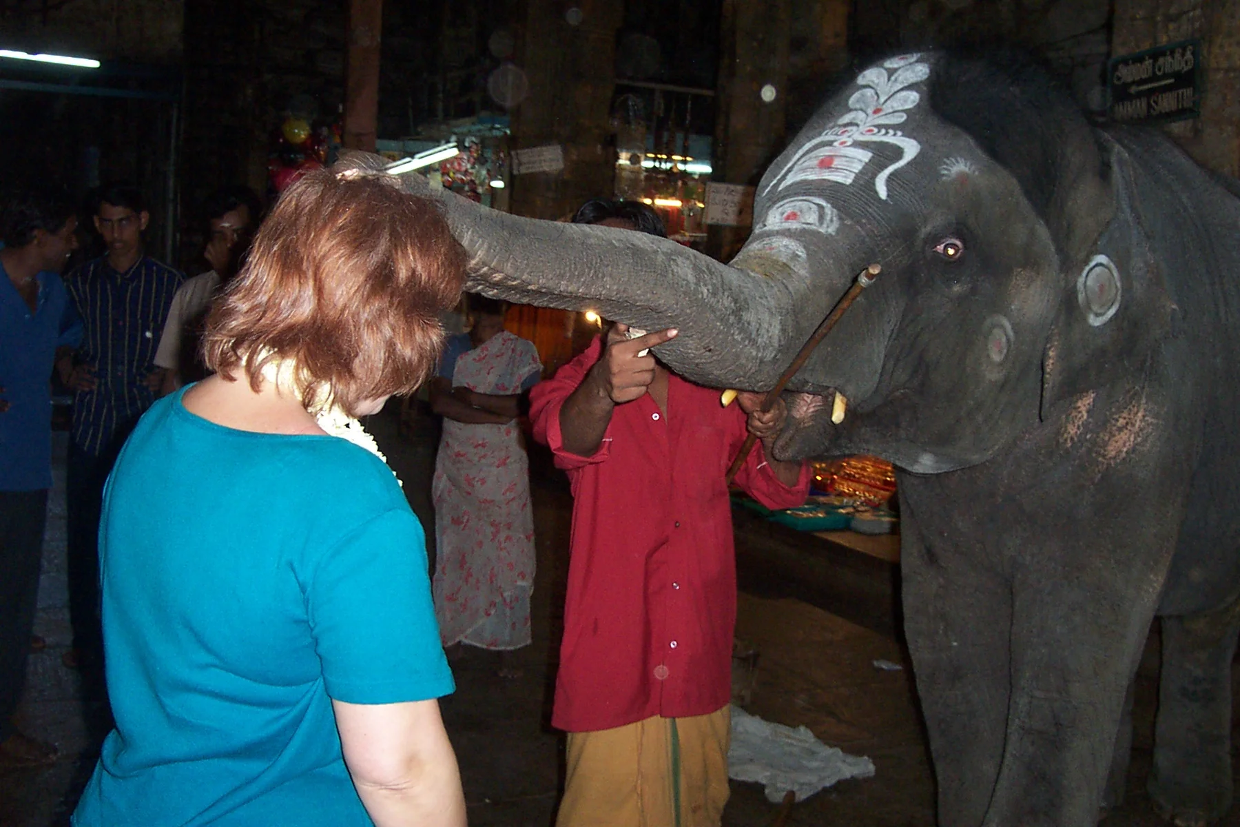 India (37).jpg