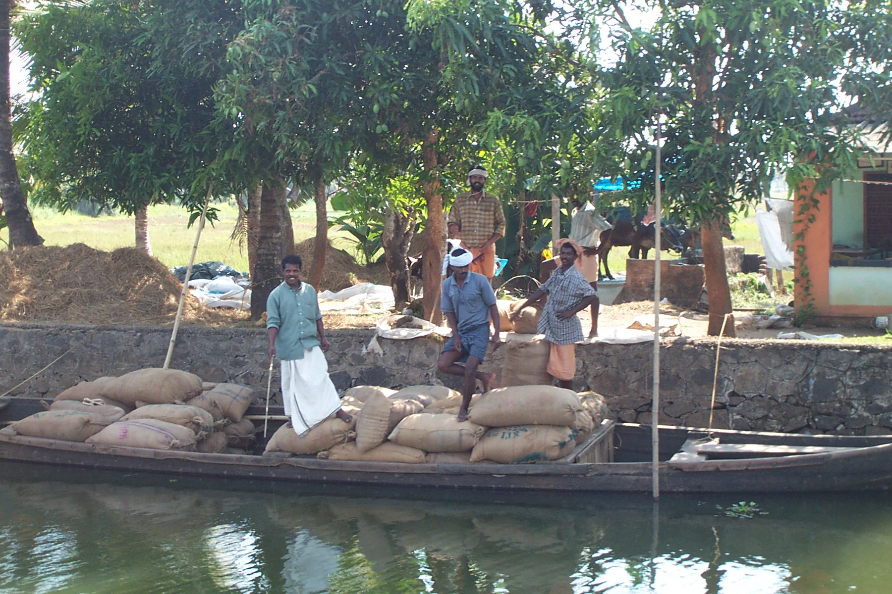 India (80).jpg