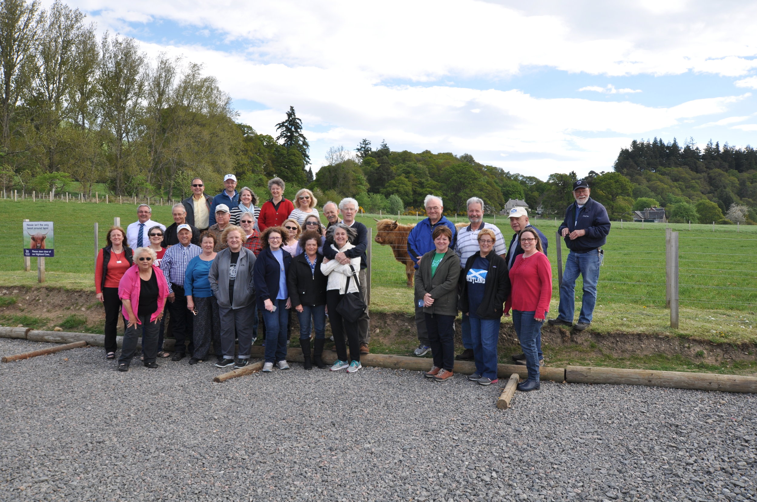 2018-05-20 Group - Fuzzy Cow.jpg