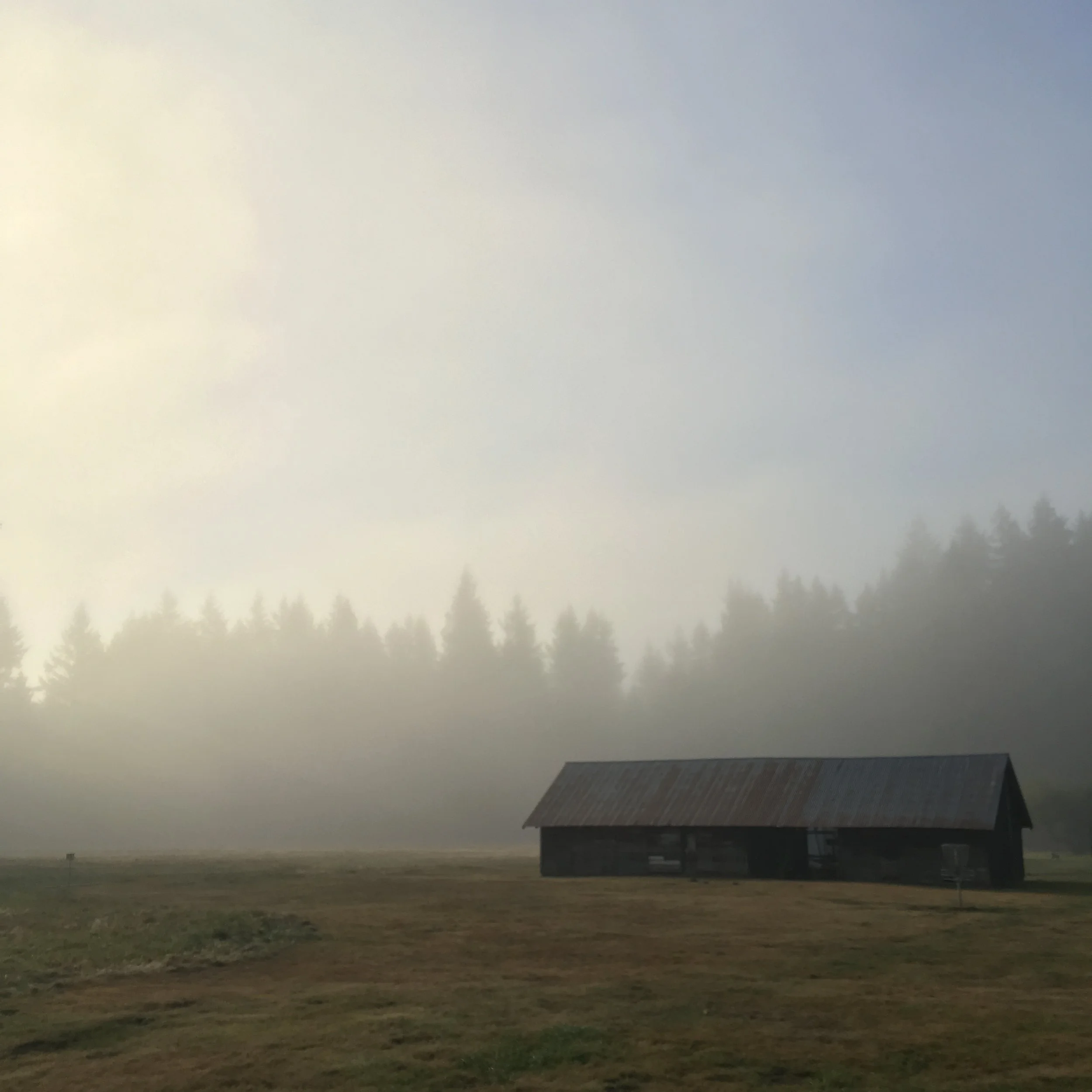 Redmond in the morning