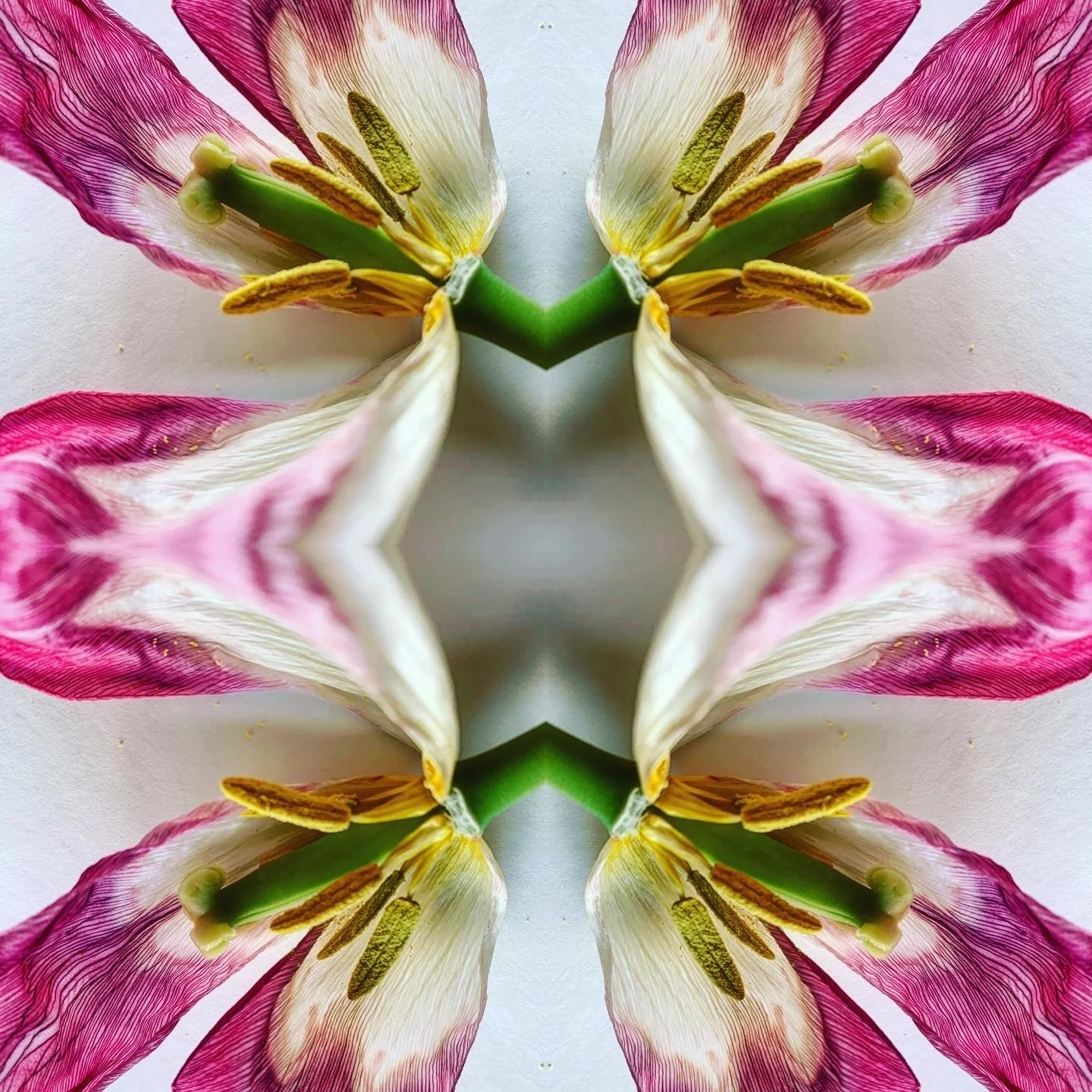 8B0A0BC8-E83D-45A3-B648-C4D0716E2421 2.JPG