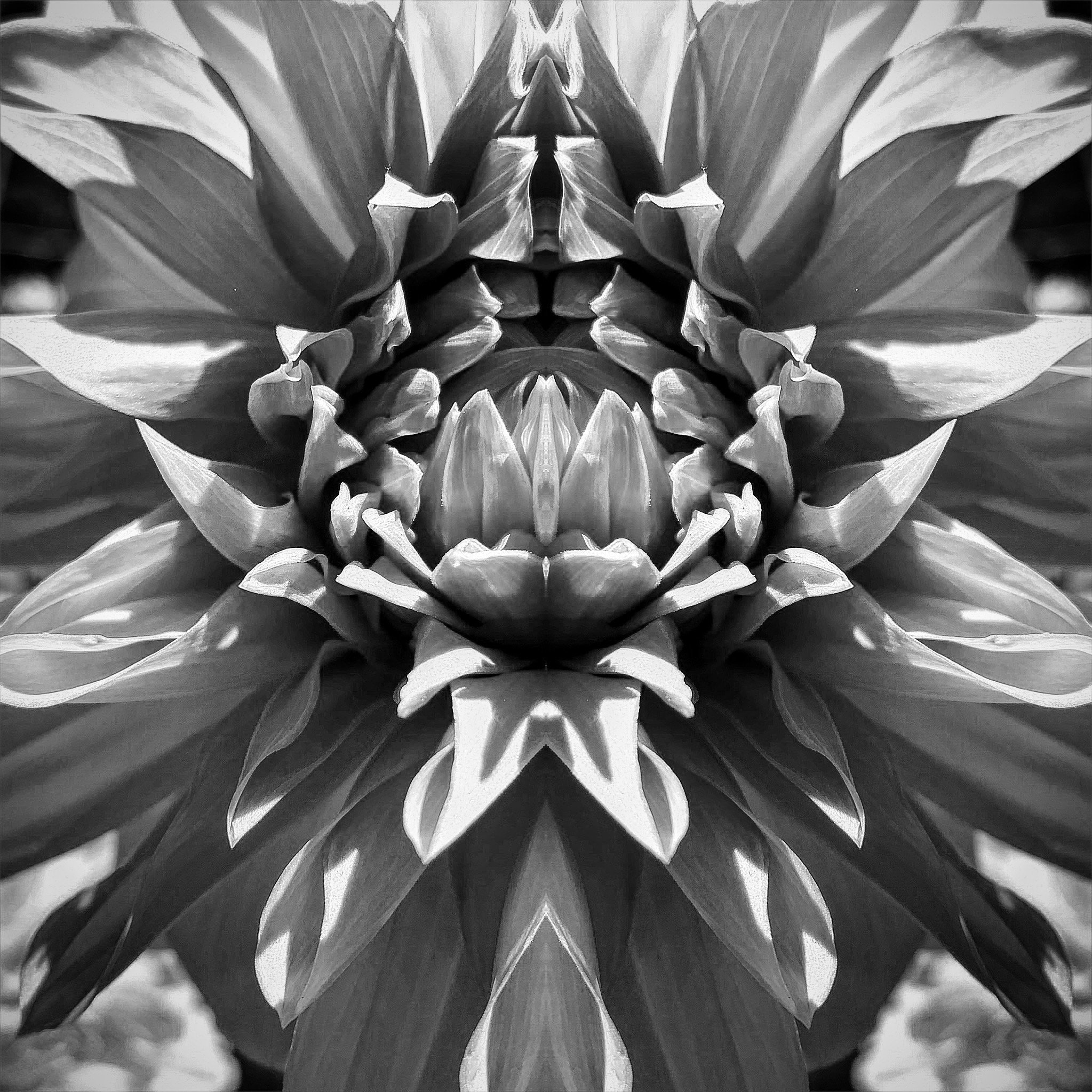 89650738-1512-4102-8E29-C955F0346DA7 2.JPG