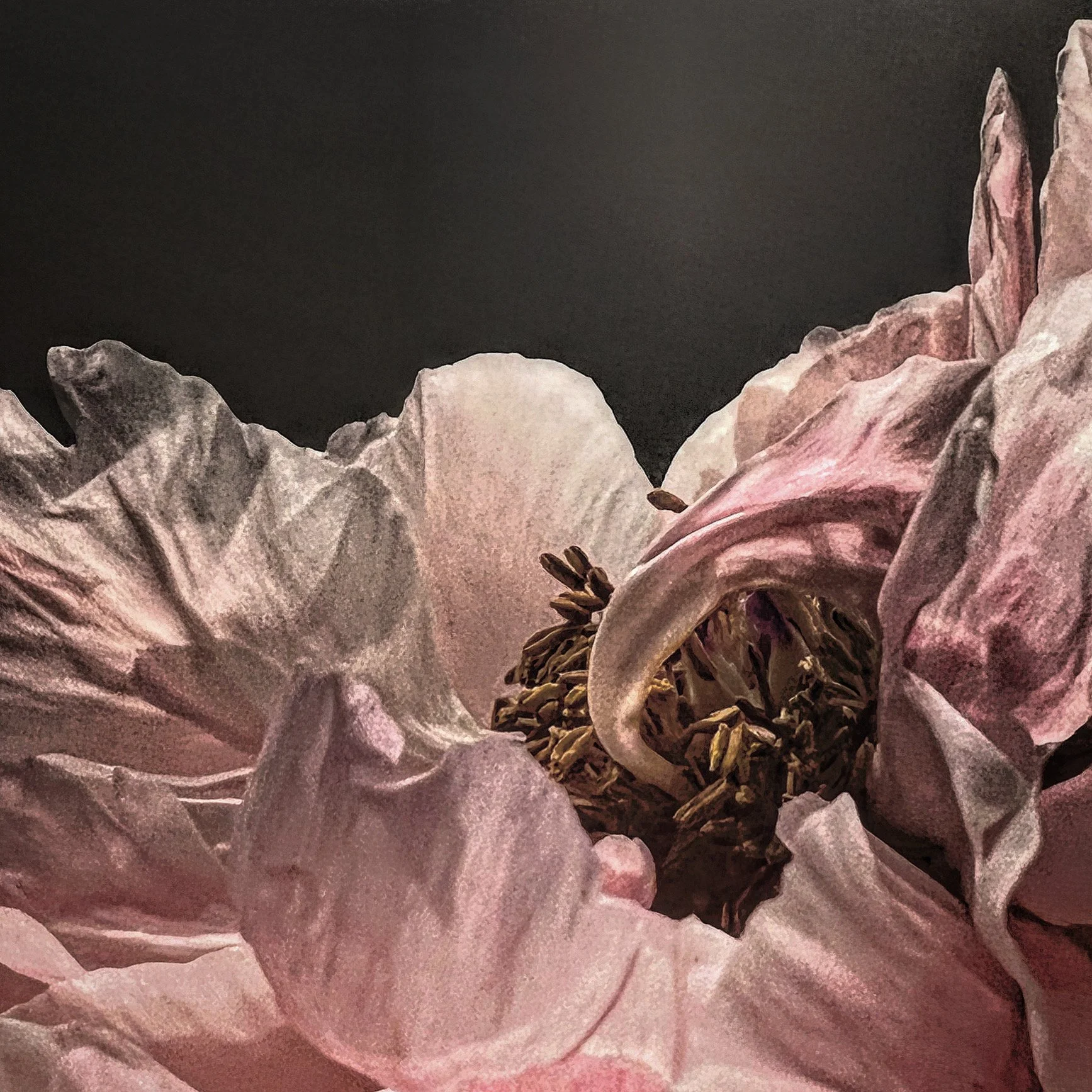 FBCB0AFC-D922-49B5-85BB-597376DB9A96 2.JPG