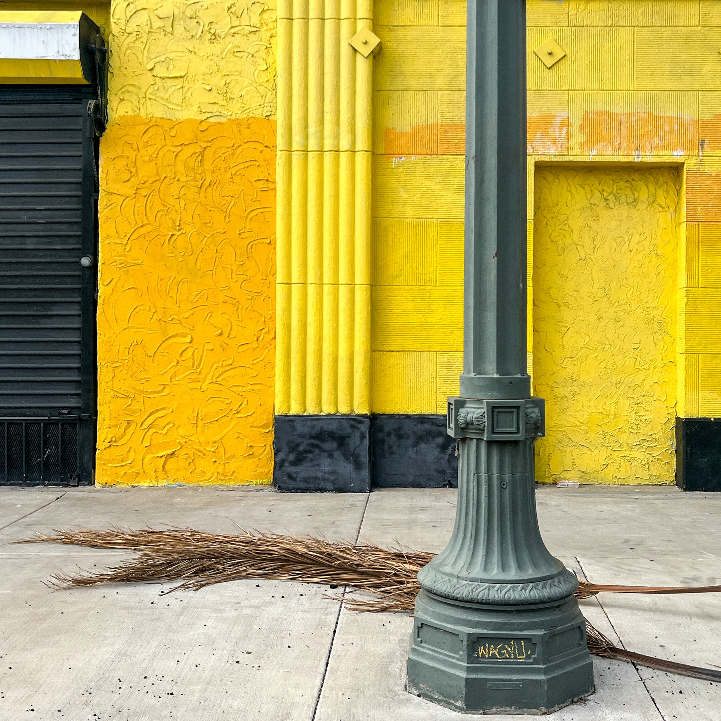 LA yellow wall sq.jpg