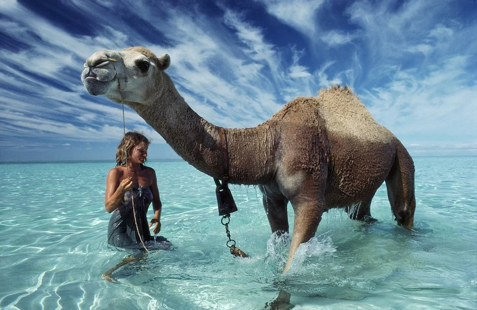 The Gift for Everyone