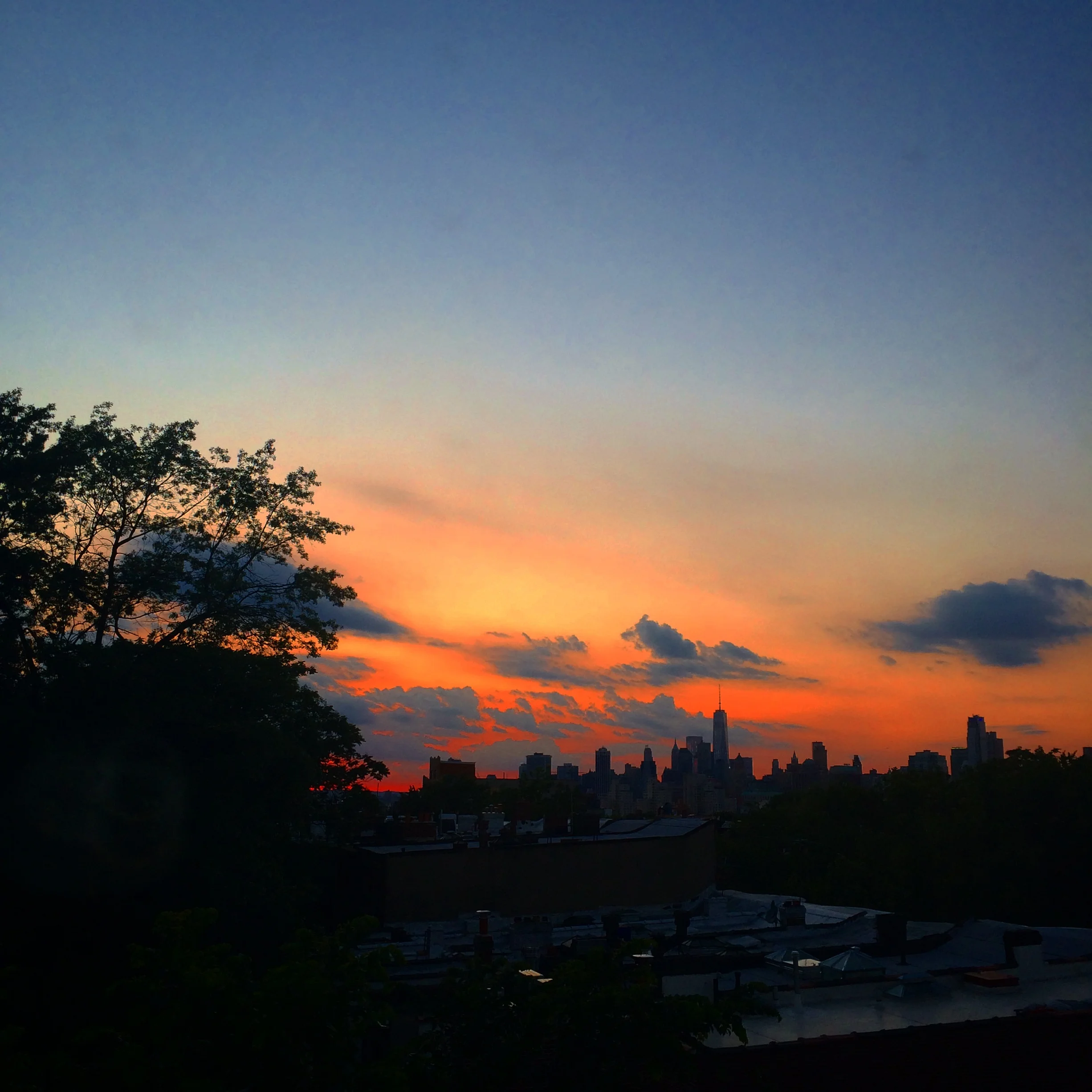IMG_2253.JPG