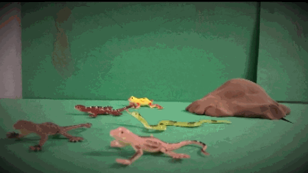 Stop motion with JavaScript arrays