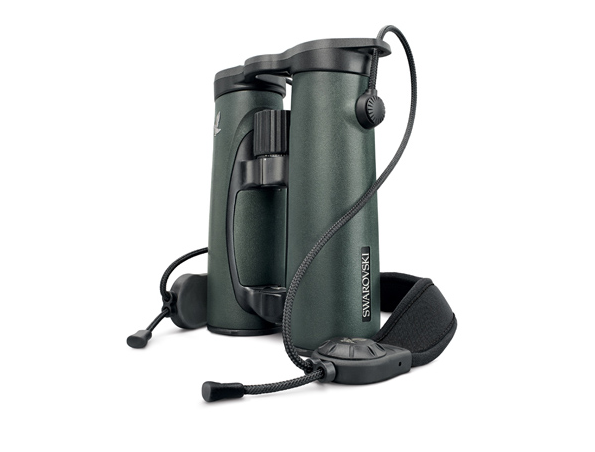 Screen Shot 2017-11-22 at 7.13.41 PM.png