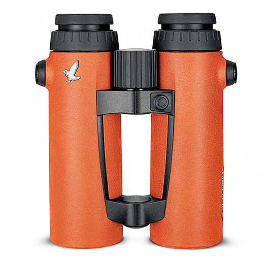 Screen Shot 2019-10-04 at 11.49.21 AM.png