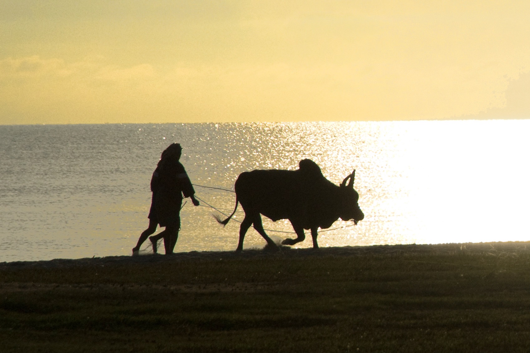In the starkness of early morning light, we plod along. There is nothing else to do. If we stop, we get nowhere. Moving on we seek an answer. (Photographed on the beach at Songkhla, Thailand)