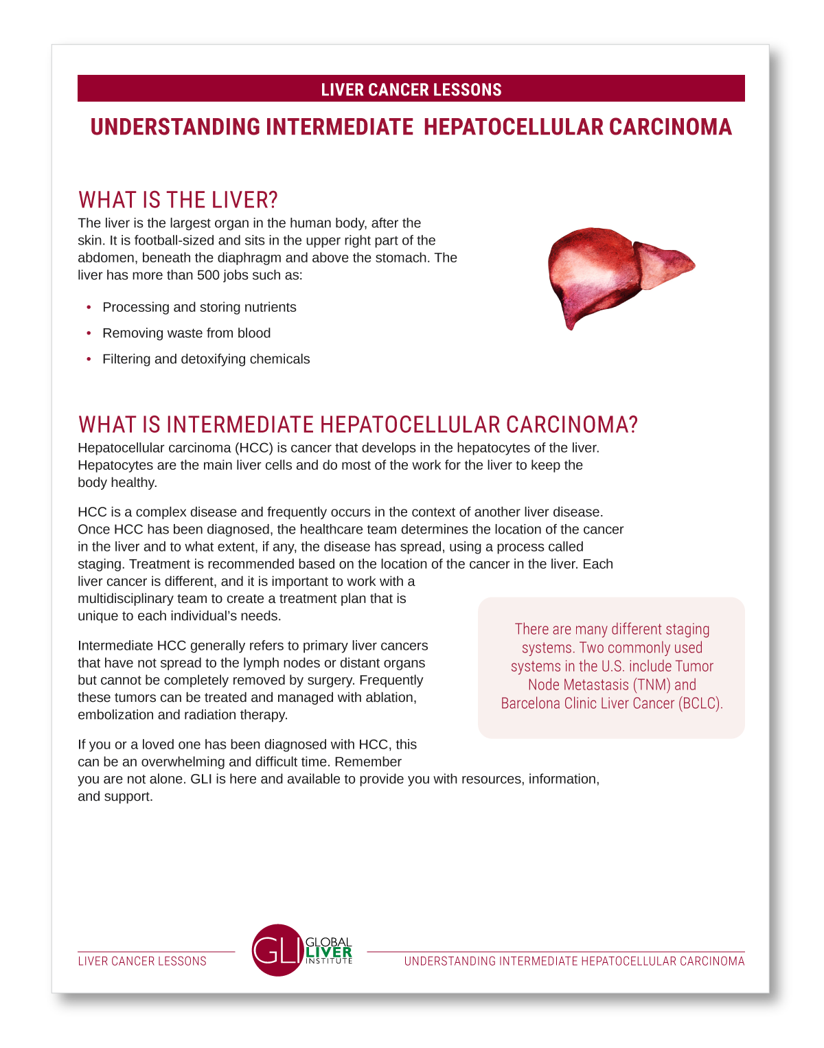 Understanding Intermediate HCC