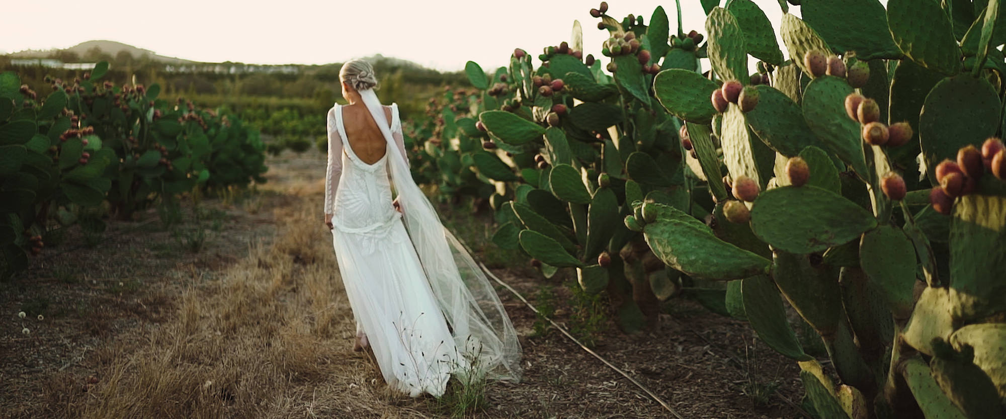 HeathEmelieWeddingFilm_Babylonstoren_Wedding_9.jpg