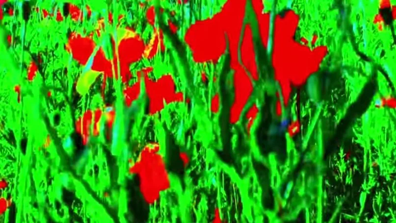 Adieu au langage (2014)