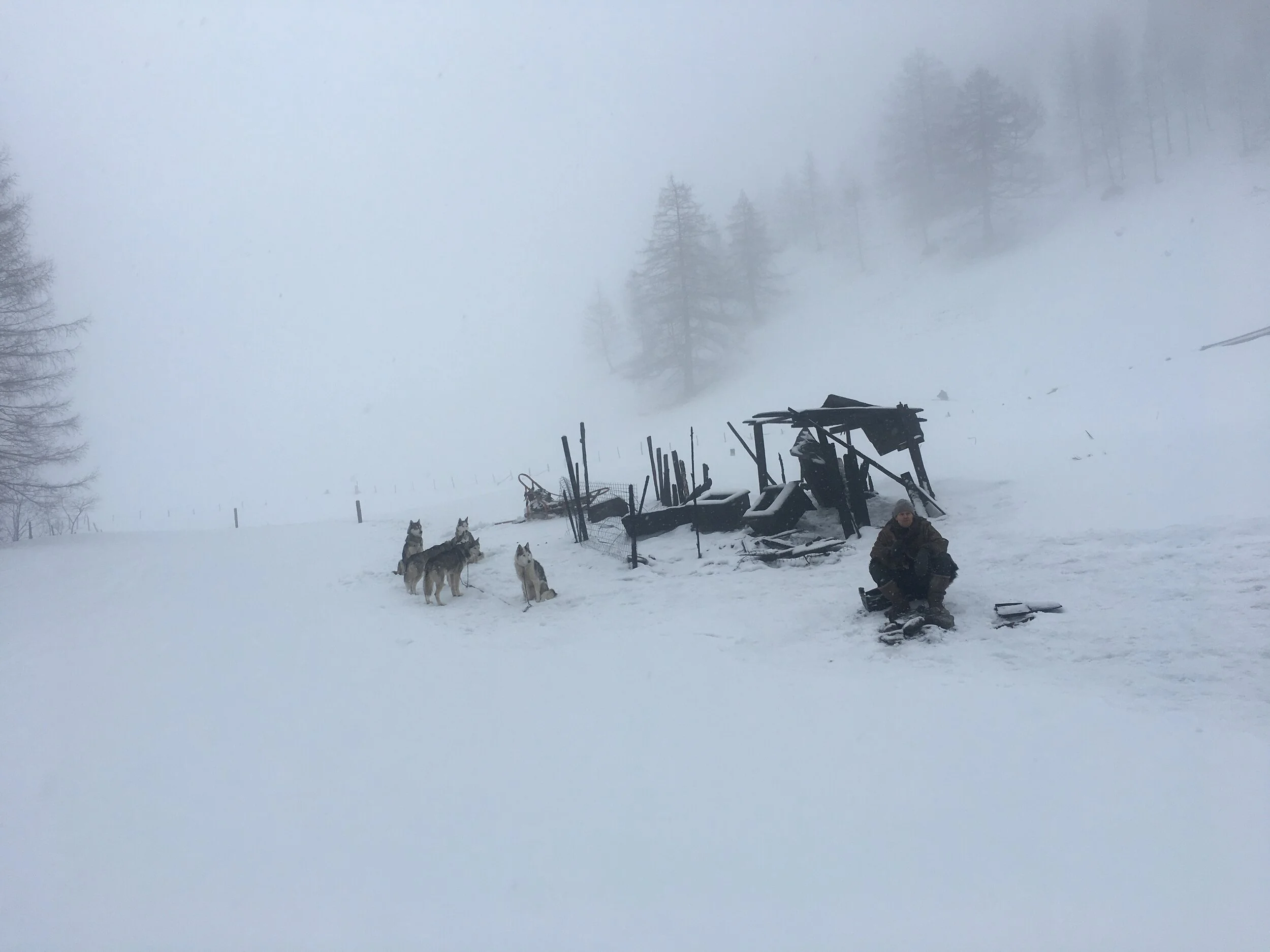 “Siberia” di Abel Ferrara. Conversazione con l’autore della fotografia Stefano Falivene