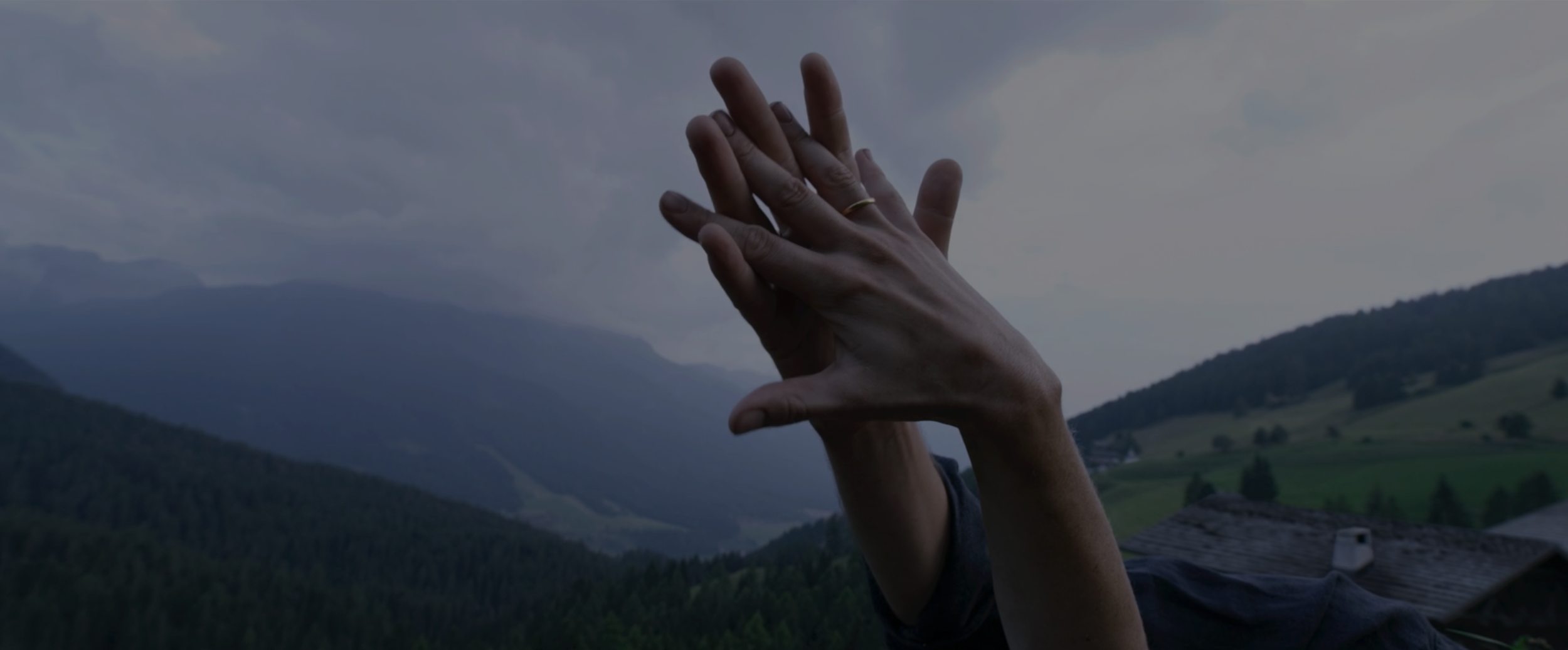 Una danza metafisica per abbracciare l’inaspettato. Conversazione con Jörg Widmer sulla fotografia dei film di Terrence Malick