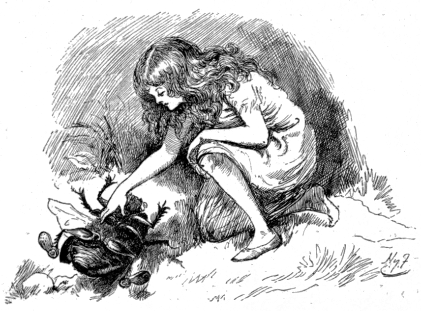 Illustrazioni originali di Harry Furniss per Sylvie e Bruno di Lewis Carroll
