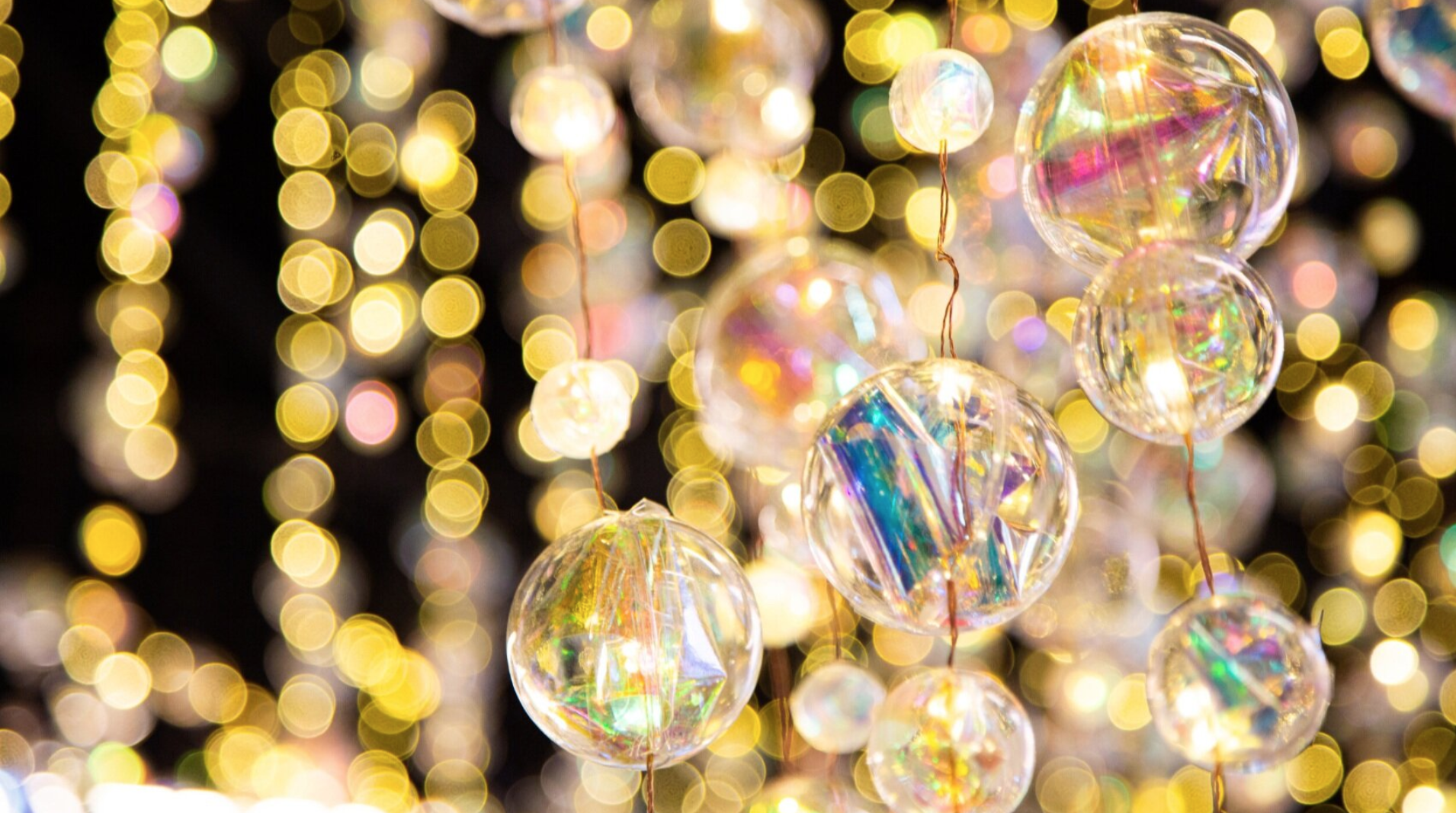 Screen Shot 2020-05-01 at 2.04.40 PM.png