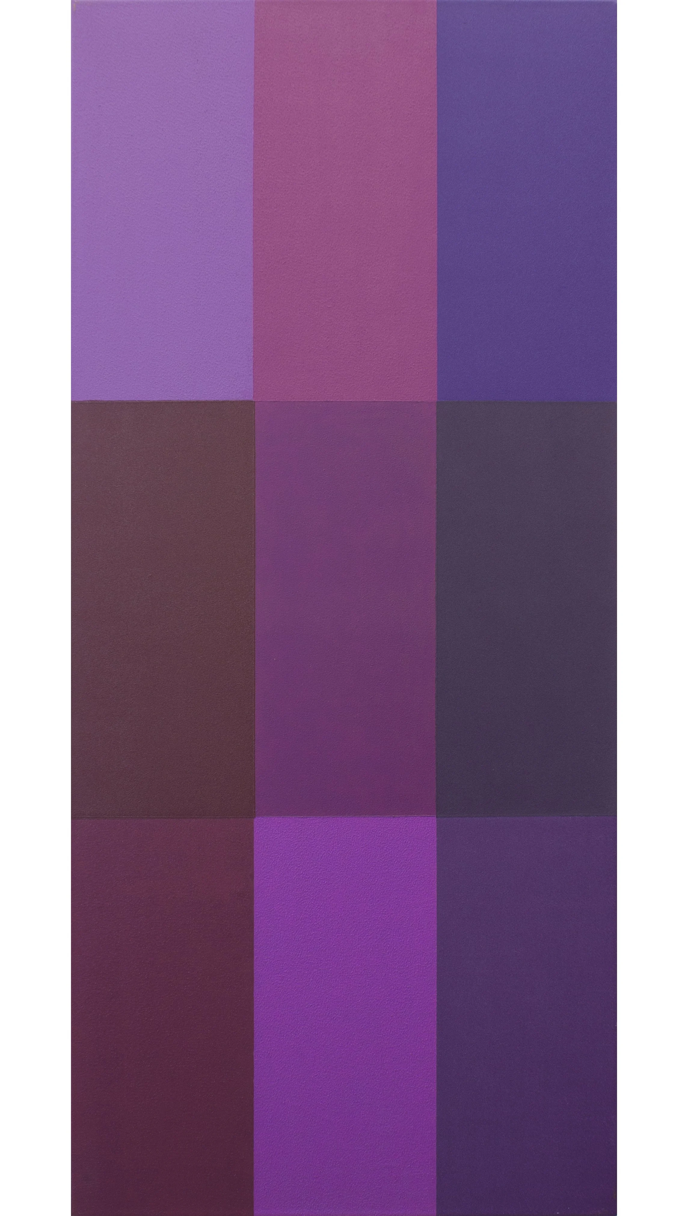 NINE SHADOWS OF PURPLE