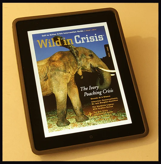 ipad5.jpg