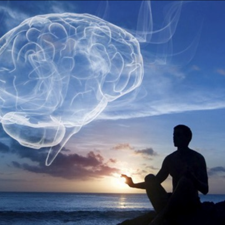 brain_meditator.png