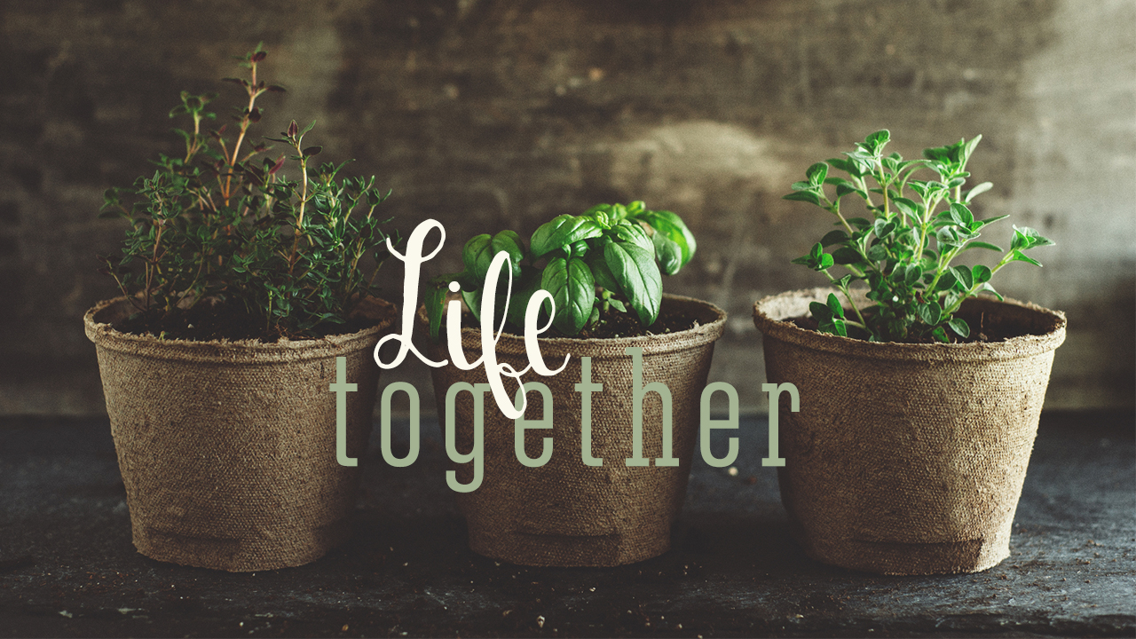 Life Together: Belonging Together