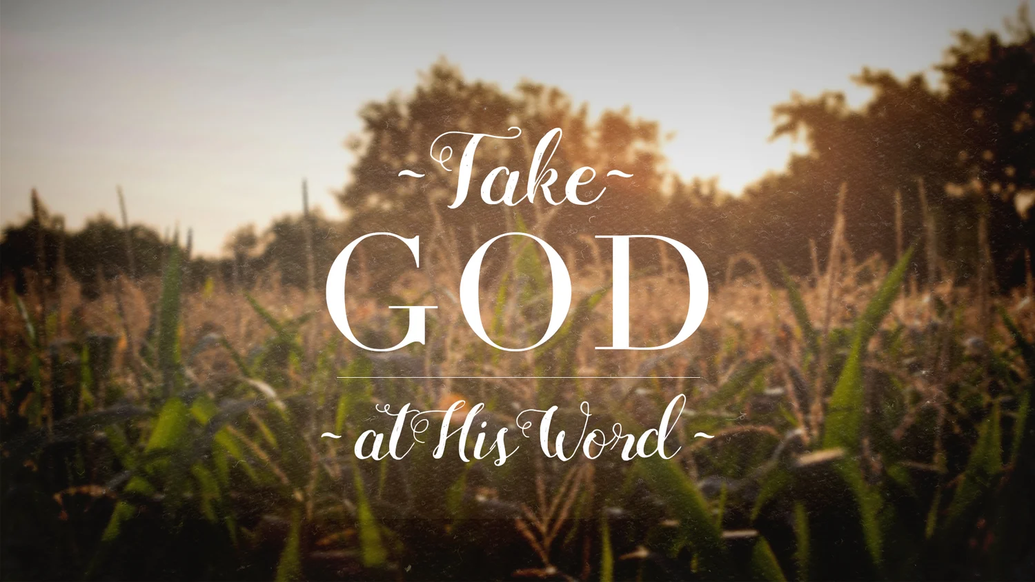 Take God at His Word: Giving that Feels Good episode artwork