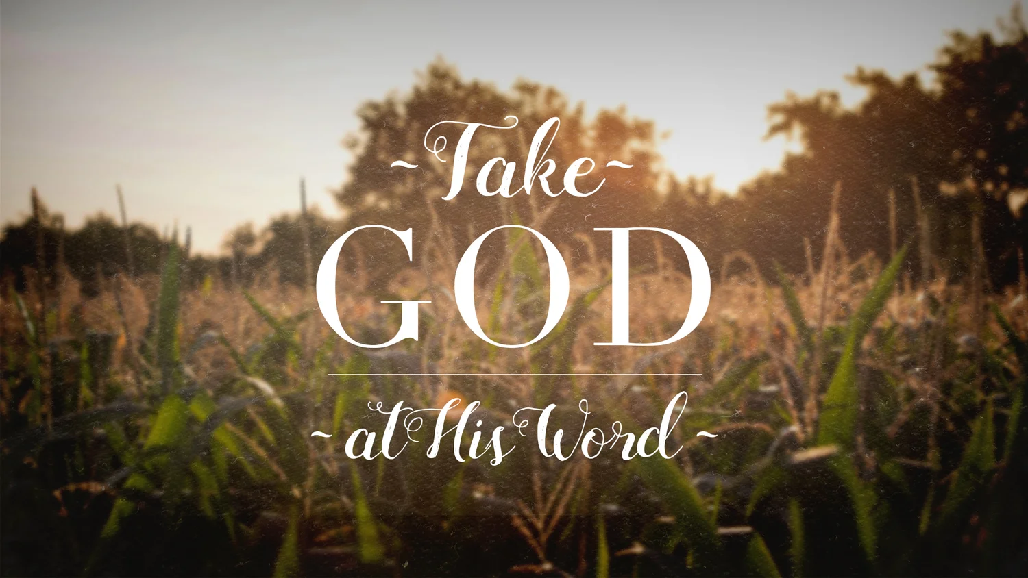 Take God at His Word: Giving to God episode artwork