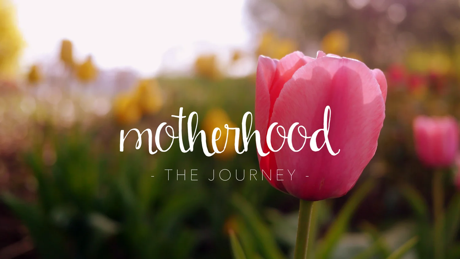 Motherhood - The Journey episode artwork